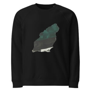 'Abstract Flow' Edition Unisex organic raglan sweatshirt